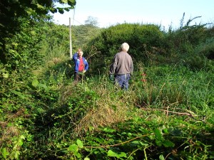 Carnieres-sentier-des-castelets