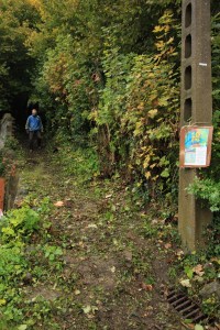 Carnieres-Sentier-des-castelets