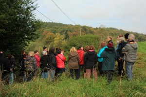 Sentier-des-castelets