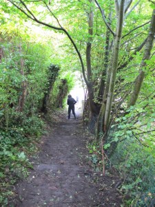 Carnieres-sentier-des-castelets