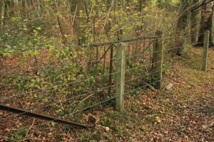 Carnieres -Bois d'hairmont