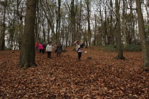 Carnieres -Bois d'hairmont