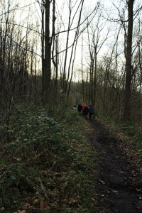 Bois de l'Olive Balade