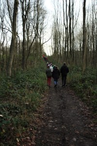 Bois de Mariemont Balade