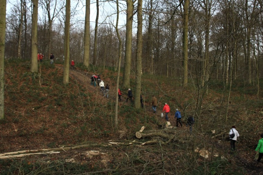 Bois de Mariemont Balade