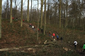 Bois de Mariemont Balade