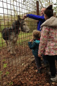 Bois d' hairmont- ane et enfant
