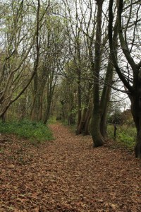 Carnieres -Bois d'hairmont