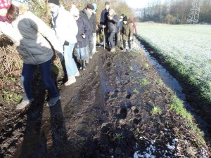 Carnieres-sentiers-balade