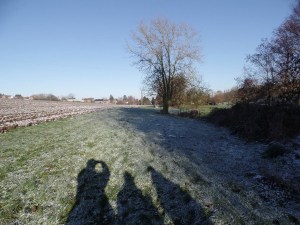 Carnieres-sentier-de-chevremont