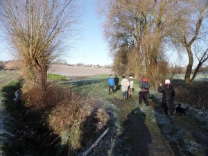 Carnieres-sentier-de-chevremont