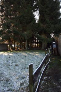 Carnieres-sentier-de-chevremont