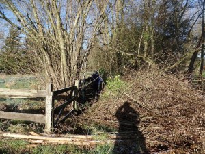 Carnieres-sentier-de-chevremont