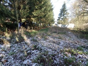 Carnieres-sentier-de-chevremont