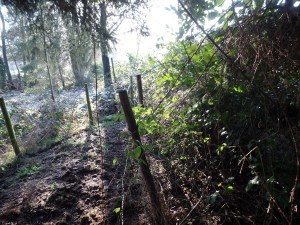 Carnieres-sentier-de-chevremont