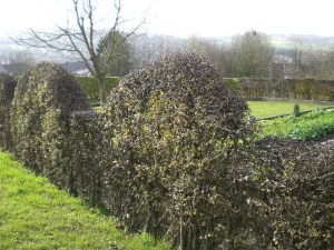 Carnieres- Rue-de-la-passerelle