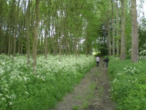 Carnieres-bois-des-vallees2
