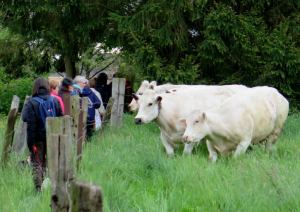 Sentiers-de-la-haute-haine