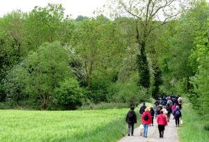 Sentiers-de-la-haute-haine