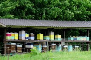 Sentiers-de-la-haute-haine