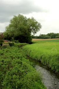 Sentiers-de-la-haute-haine