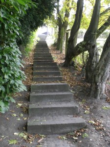 Carnieres-vieille-eglise