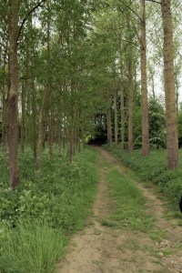 Sentiers-de-la-haute-haine