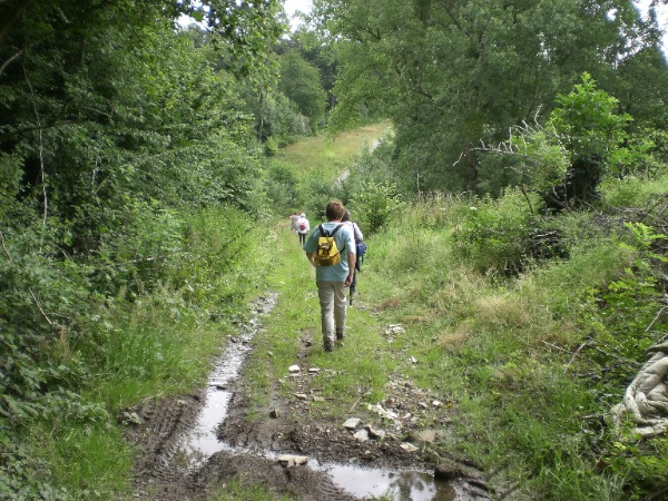 Mont-Sainte-Aldegonde-balade-2016-177