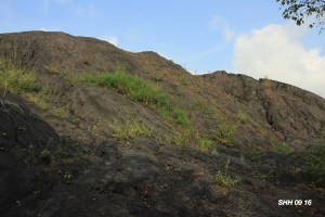 terril sainte henriette morlanwelz