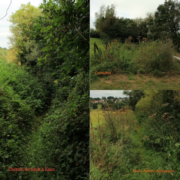 Semine des sentiers 2016Morlanwelz