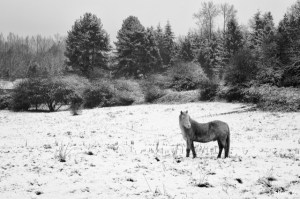 Senties de la Haute Haine photo