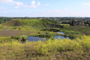 Terril de la Cokerie-Anderlues