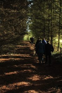Sentiers de la Haute Haine-balades 2017