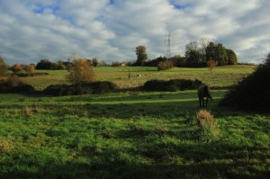 Sentiers de la Haute Haine-balades 2017
