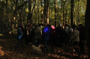 Sentiers de la Haute Haine-balades 2017