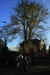 Sentiers de la Haute Haine-balades 2017