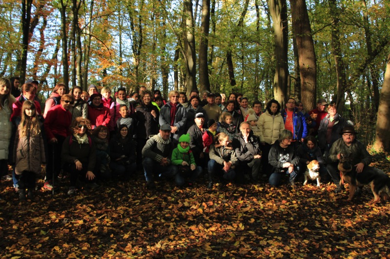 Sentiers de la Haute Haine-balades 