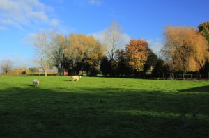 Sentiers de la Haute Haine-balades 2017