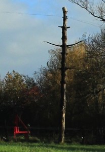 Sentiers de la Haute Haine-balades 2017