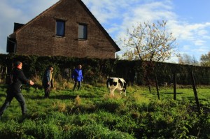 Sentiers de la Haute Haine-balades 2017