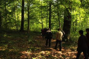 Mariemont-Balade-Sentiers