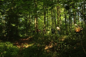 Mariemont-Balade-Sentiers