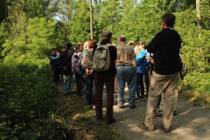 Mariemont-Balade-Sentiers