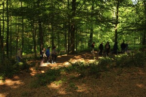 Mariemont-Balade-Sentiers