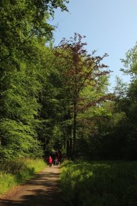 Mariemont-Balade-Sentiers