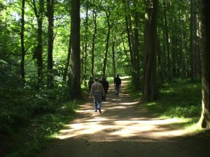 Mariemont-Balade-Sentiers