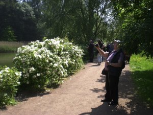 Mariemont-Balade-Sentiers