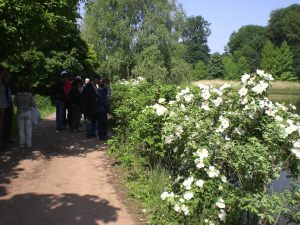 Mariemont-Balade-Sentiers