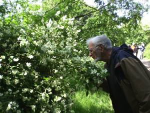 Mariemont-Balade-Sentiers