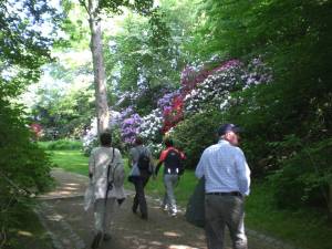 Mariemont-Balade-Sentiers